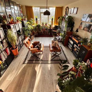 Creating the Ultimate Music Room: Organizing Vinyl Collections and Enhancing Atmosphere